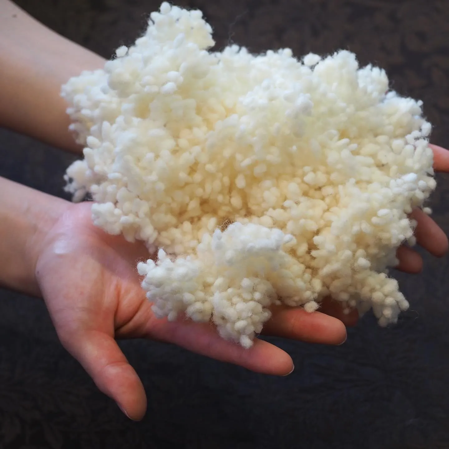 おはようございます。